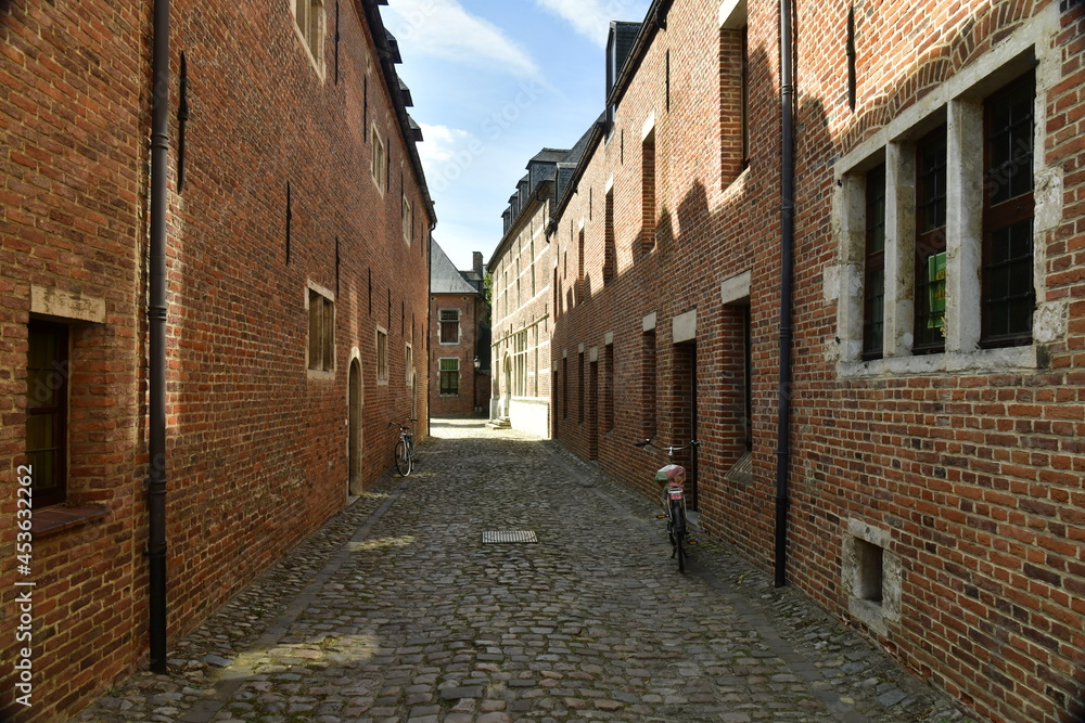 Rue à pavés entre les vieilles bâtisses historiques du Grand Béguinage de Louvain (Leuven) en Brabant flamand 