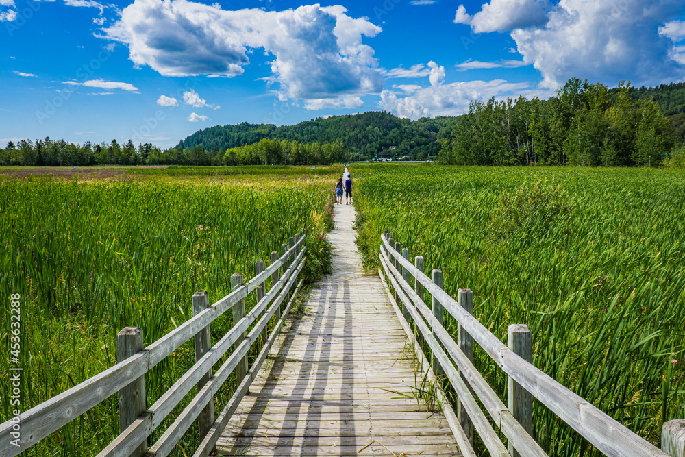 Fototapeta premium The boardwalk of the Saint Fulgence flats on a summer day, a marsh located on the Saguenay Fjord in Quebec (Canada)
