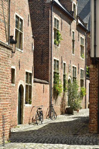 Fototapeta Naklejka Na Ścianę i Meble -  Rue à pavés entre les maisons historiques du Grand Béguinage de Louvain (Leuven)