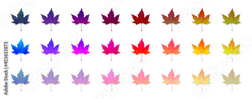 Set of vivid maple leaves of unusual, neon colors. Design collection. Seasonal autumn abstraction