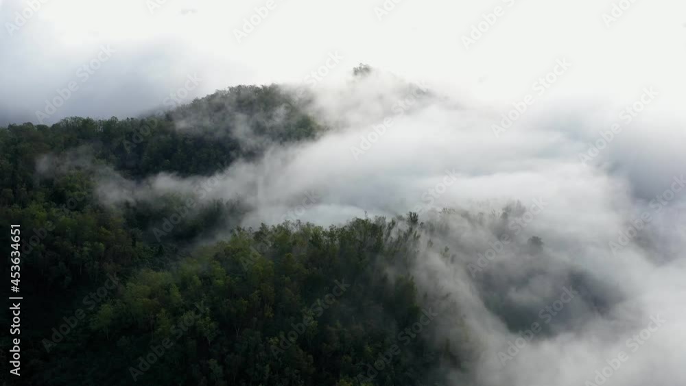 An aerial view of a beautiful cloud covered mountain. beautiful scenery Atmosphere of beautiful nature, Nan Province, Northern Thailand natural healing concept fertile forest An aerial view of a beautiful cloud covered mountain. beautiful scenery Atmosphere of beautiful nature, Nan Province, Northern Thailand natural healing concept fertile forest