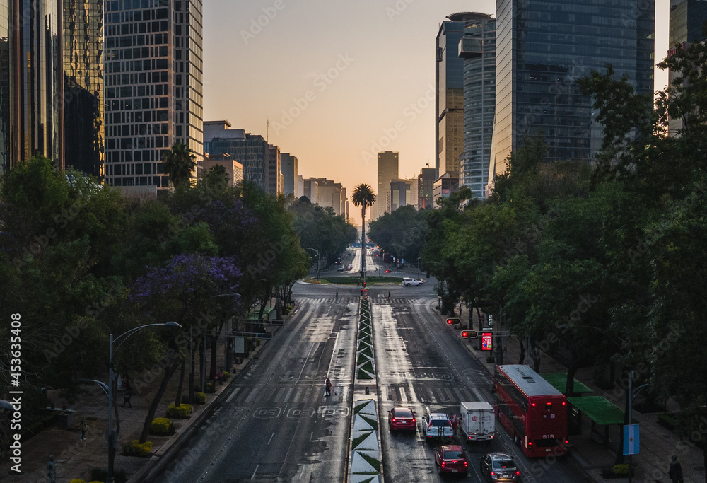 Fototapeta premium Glorieta de palmera