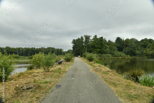 Route traversant la r  serve naturelle du domaine provinciale de Bokrijk au Limbourg 