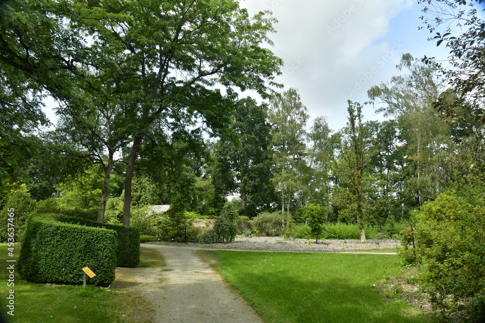 Obraz premium Chemin sous la végétation luxuriante de différents spécimens à l'arboretum de Bokrijk au Limbourg 