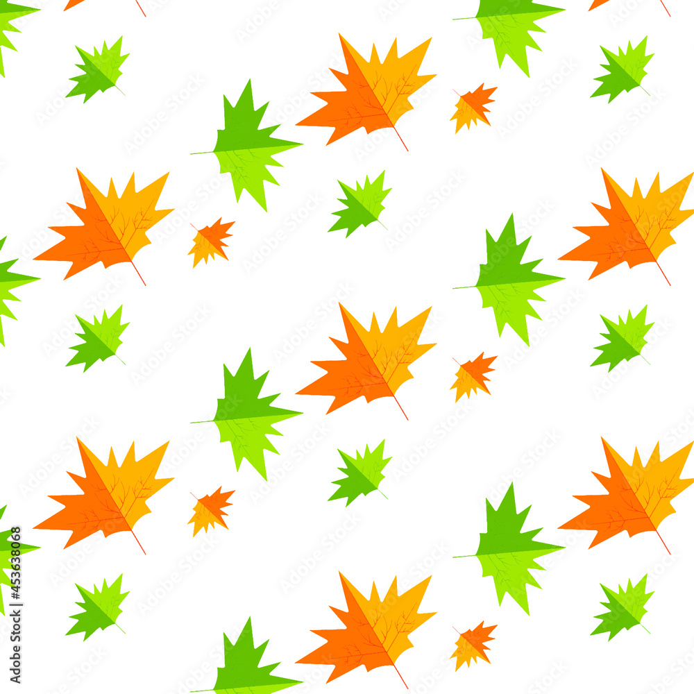 Maple leaves pattern. Autumn . On white background . autumn leaves vector Maple leaves pattern. Autumn . On white background . autumn leaves vector