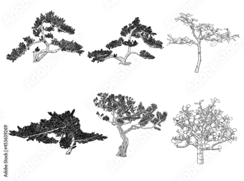 Set of Bonsai trees. Hand drawn black white plants illustration set on a white background, isolated. Tray planting of mini tree hobby. Collection of Bonsai Japanese trees grown in containers. Vector.