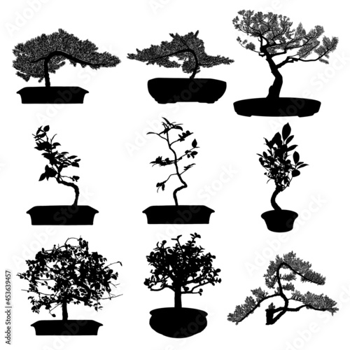 Set of Bonsai Japanese trees silhouette growing in pots and containers. Drawing from real trees. Decorative little trees in Bonsai style set, hobby. Vector.