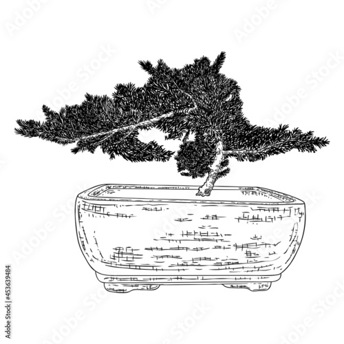 Bonsai tree. Hand drawn black white plant illustration on a white background, isolated. Tray planting of mini tree hobby. Bonsai Japanese tree grown in container. Vector.