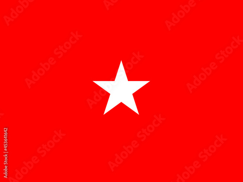 United States Army One Star General Flag