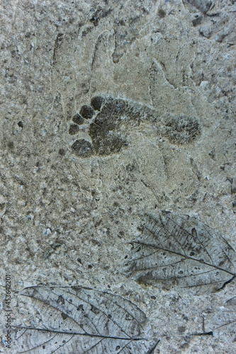 Human footprints on cement and leavesprint on cement texture