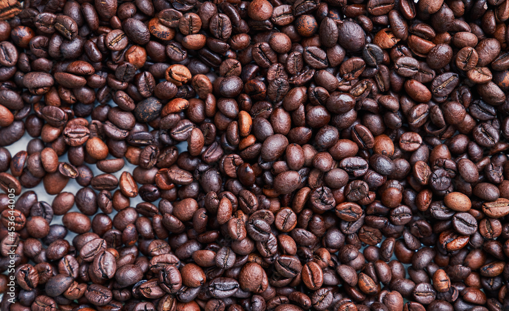Fototapeta premium Brown and black coffee beans. Roasted arabic espresso coffee grains.