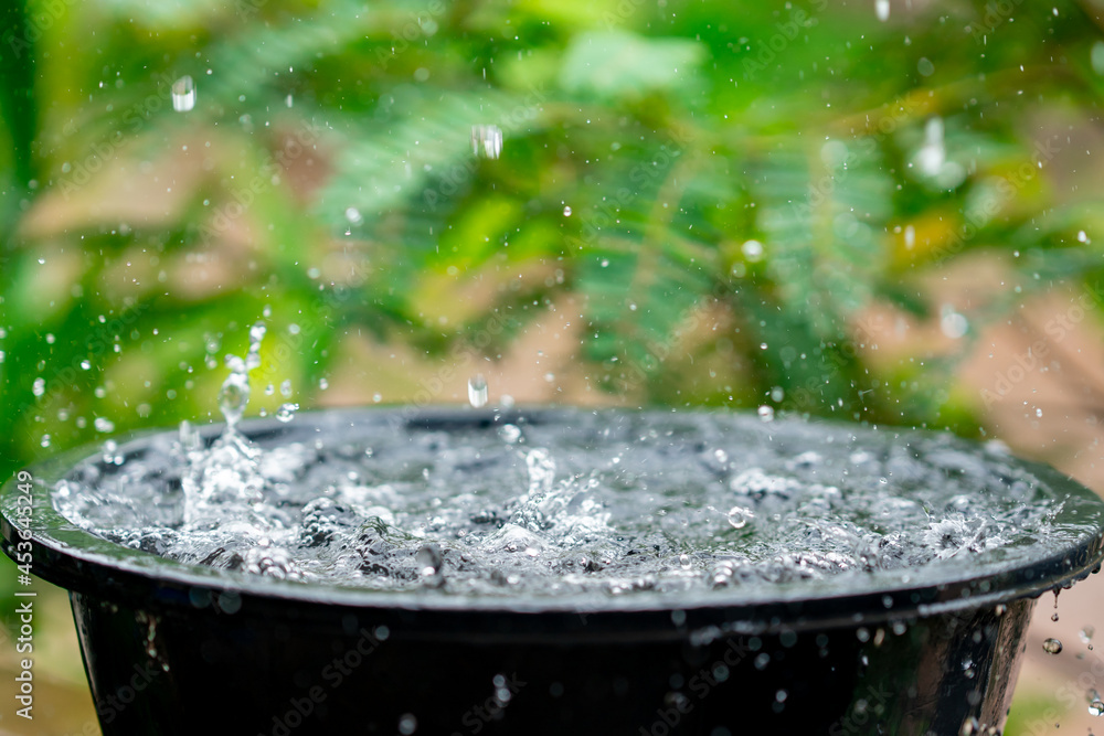 Rain droplets splash on blurred green tree background, rainny on sunny or light of sun on daytime