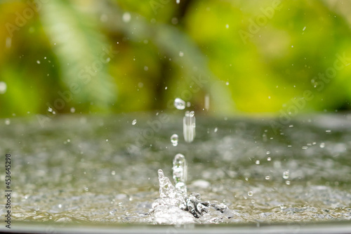 Rain droplets splash on blurred green tree background  rainny on sunny or light of sun on daytime