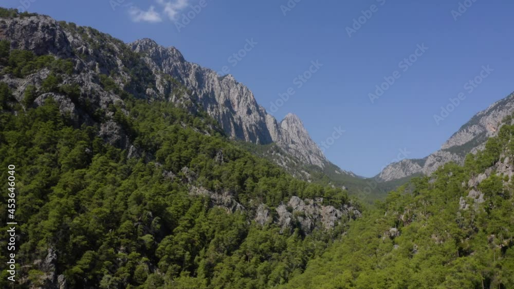 Aerial view of rocky mountains with evergreen forests on blue sky in the background. Aerial view of rocky mountains with evergreen forests on blue sky in the background.