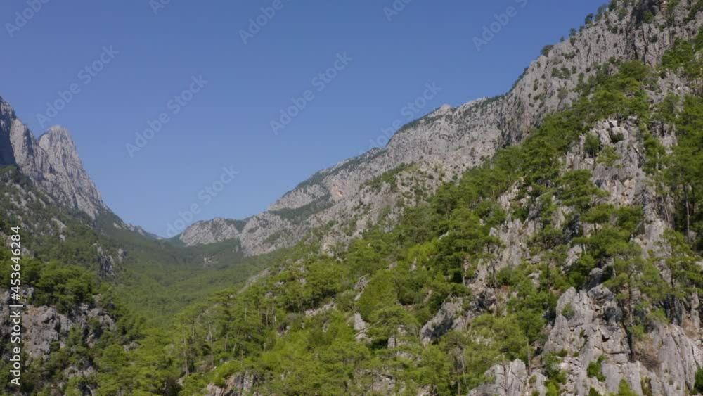 Green coniferous trees growing on rocky mountains. Aerial view from drone. Green coniferous trees growing on rocky mountains. Aerial view from drone.