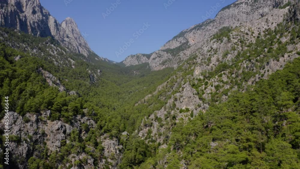 Aerial drone view of beautiful green pine trees growing on mountains slopes. Aerial drone view of beautiful green pine trees growing on mountains slopes.