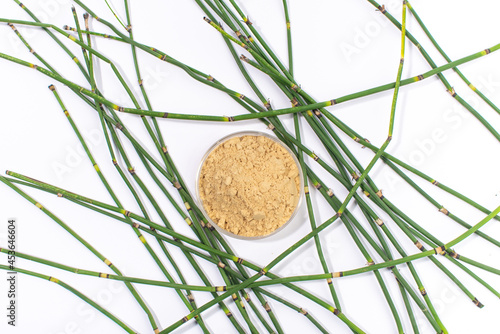 Dry water horsetail, swamp horsetail, Equisetum fluviatile extract. Top view. photo