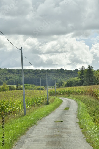 Chemin de campagne en bitume entre les champs de maïs sous un ciel nuageux près du bourg de Champagne au Périgord Vert 