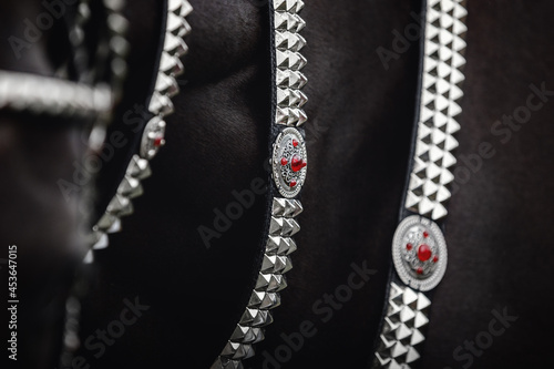 closeup details portrait of beautiful black akhal-teke horse neck with turkmen bridle and collars