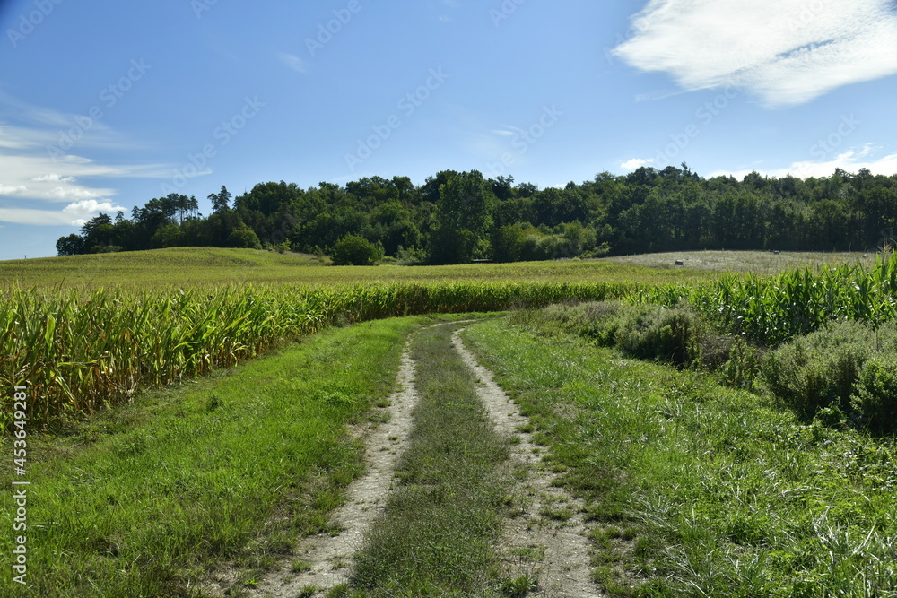 Chemin en terre pour le passages des engins agricoles entre les champs aux environs du bourg de Champagne au Périgord Vert 