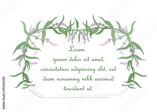 Frame with Floral Garland from Mentha spicata,