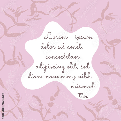 Hand drawn Mentha spicata or Spearmint Card