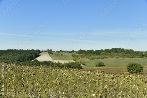 Paysage bucolique parsemés de bois ,champs ,prairies et collines au bourg de Champagne au Périgord Vert  photo