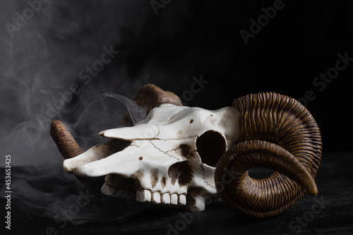 scary skull with horns on a dark background