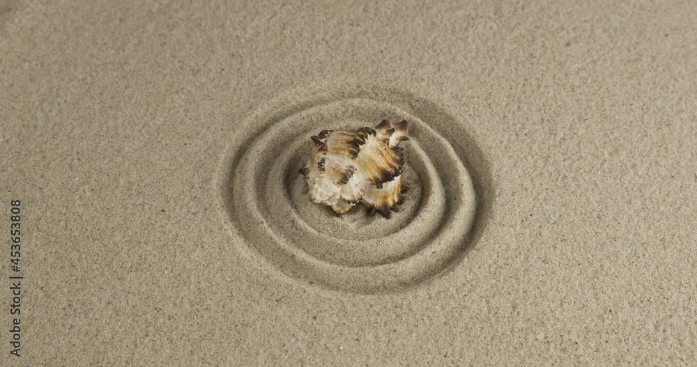 Rotation of a single seashell lying in the center of a sand circle. Close-up.