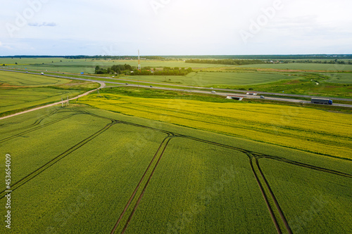Blooming yellow rapeseed field with blue sky. Beautiful rural scene with canola flowers. Aerial view