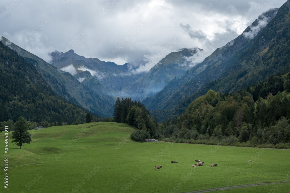 The valley Trettachtel in the south from the German town Oberstdorf with cows and mountains in the background.
