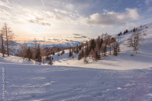 Sunset dolomite winter panorama with larch forests and snowy slopes in the foreground with traces of walkers . Fiorentina Valley, Dolomites, Italy