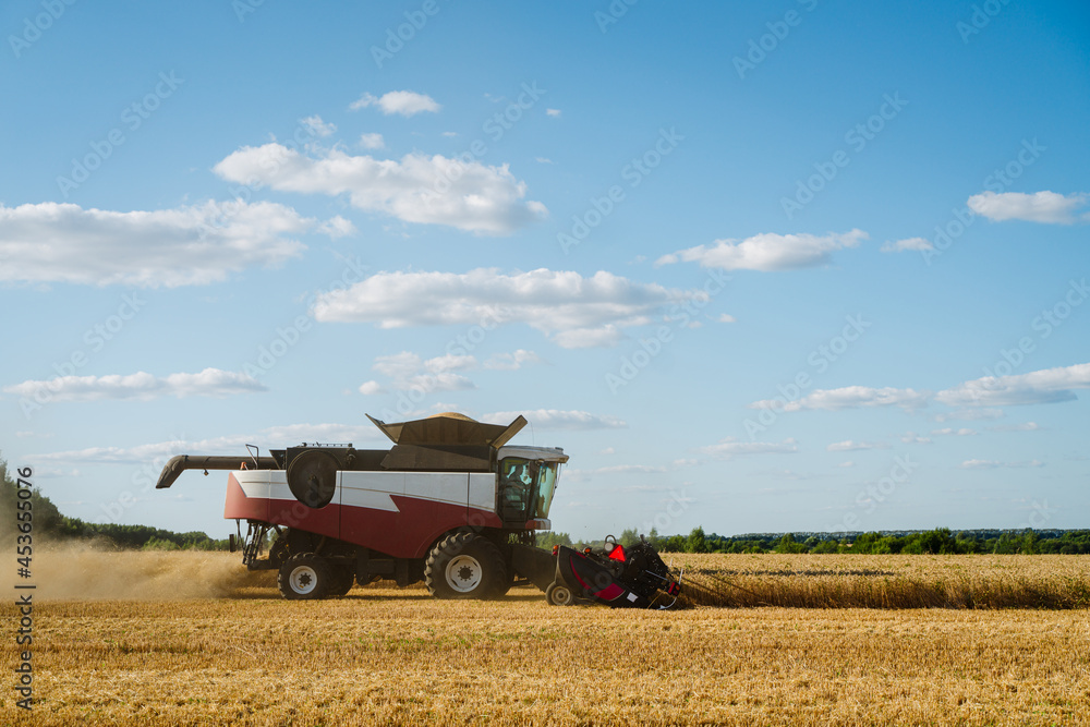 Fototapeta premium Combine harvester harvests ripe wheat. Ripe ears of gold field on the sunset cloudy orange sky background. . Concept of a rich harvest. Agriculture image