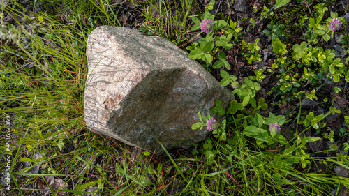 Scenic forest landscape with big stone with green grasses among thickets and trees. Vivid scenery with large boulder.