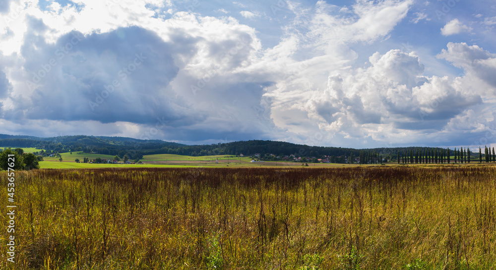 Dry high grass with trees and distant hill. Summer south Czech republic landscape