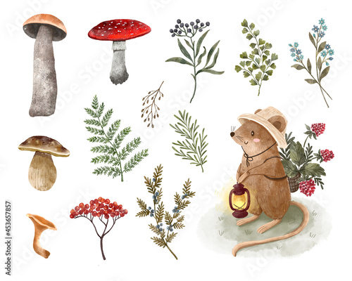 Watercolor autumn elements cute mouse illustration mushrooms leaves woodland photo