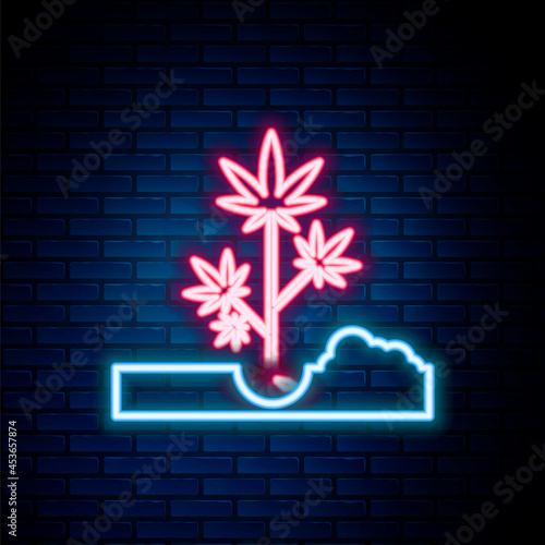 Glowing neon line Planting marijuana or cannabis plant in the ground icon isolated on brick wall background. Marijuana growing concept. Hemp symbol. Colorful outline concept. Vector