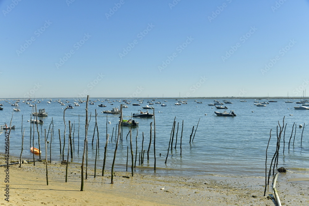 Piquets dans le sable et mouillage à la baie d'Arcachon à l'Herbe en Gironde 
