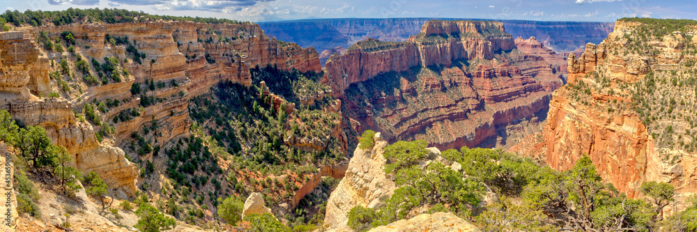 Panorama from Wedding Site Cape Royal Grand Canyon North Rim AZ Panorama from Wedding Site Cape Royal Grand Canyon North Rim AZ