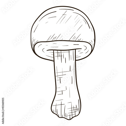 Vector isolated illustration of forest mushroom. Outline black and white doodle sticker.