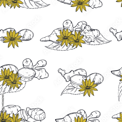  Jerusalem artichoke . Vector  pattern.