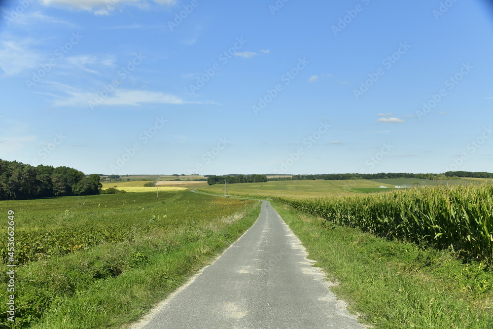 Route secondaire de campagne entre champs et prairies à Champagne-et-Fontaine au Périgord Vert