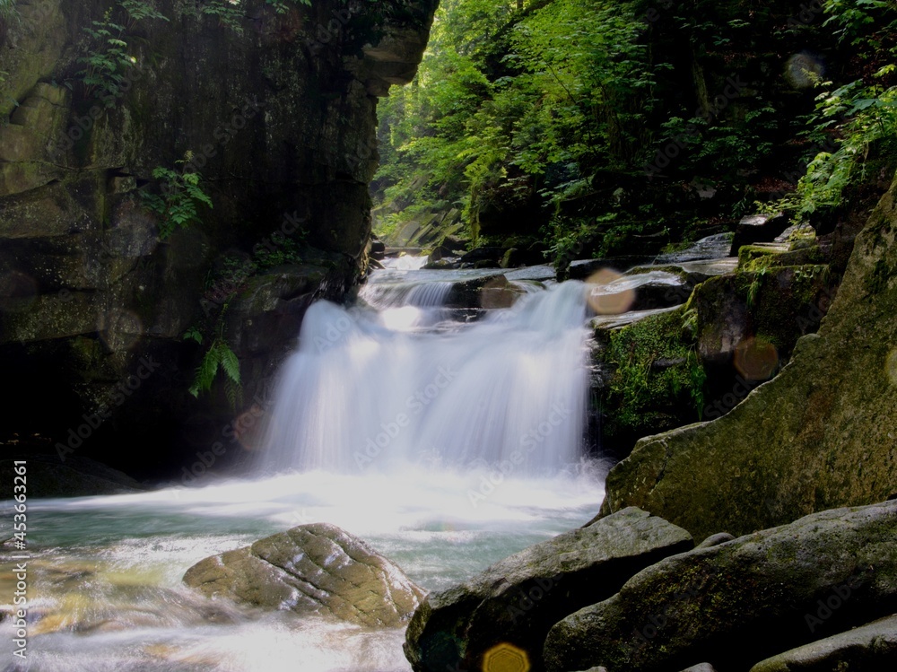 Fototapeta premium waterfall in the forest