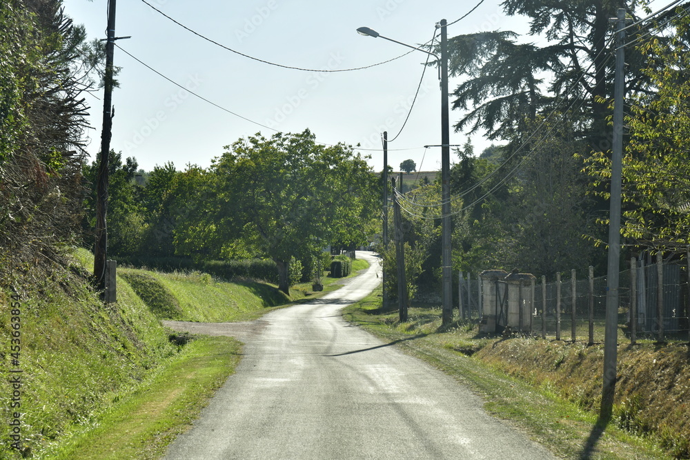 Route de campagne au milieu de la végétation luxuriante vers le bourg de Champagne au Périgord Vert