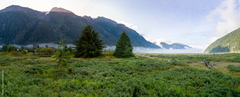 Fototapeta premium Bear river estuary at Stewart , BC, Canada and Alaska border