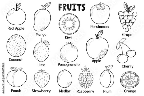Black and white fruits collection. Healthy food isolated elements in cartoon style. Great for coloring page, recipes, cookbook. Apple, mango, kiwi, coconut and more. Vector illustration