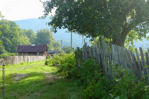 Old, wooden fence