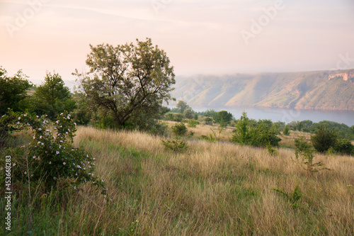 summer rural landscape along the banks of the Dniester  Ukraine