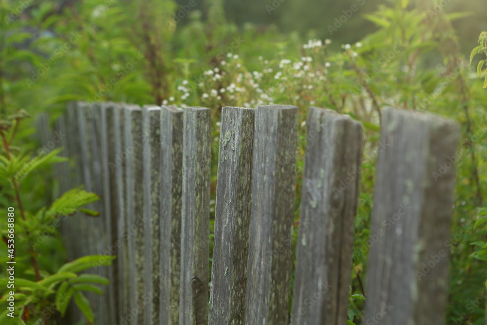 Old, wooden fence