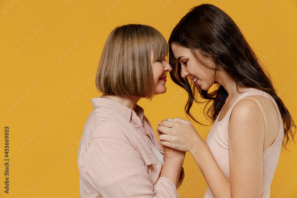 Side view two young happy lovely smiling daughter mother together couple women in casual clothes hold hands touch forehead isolated on plain yellow background studio portrait Family lifestyle concept Side view two young happy lovely smiling daughter mother together couple women in casual clothes hold hands touch forehead isolated on plain yellow background studio portrait Family lifestyle concept